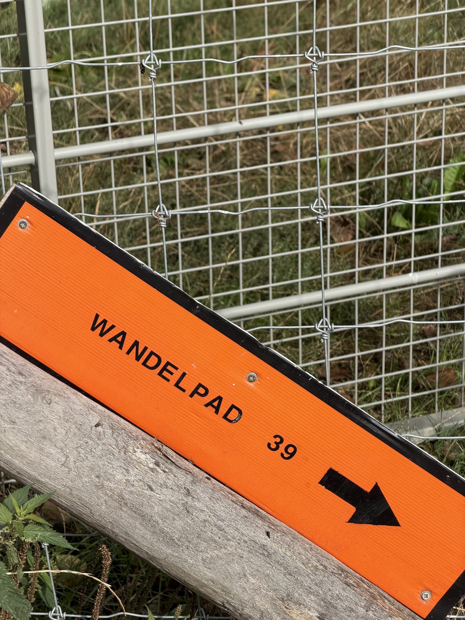 Geen team mee? Dan wandel je met ondernemers die je niets te verkopen hebben.